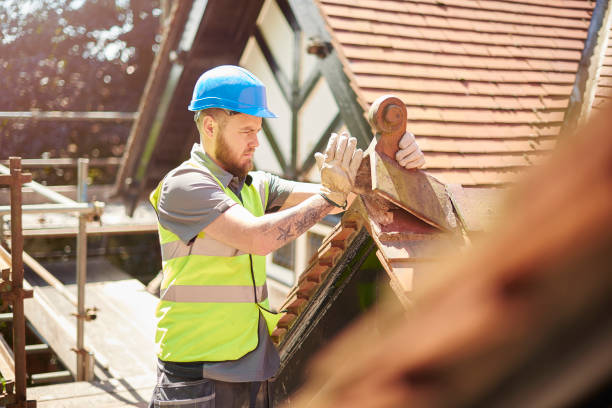 Best Metal Roofing Contractor  in Spring Hill, KS